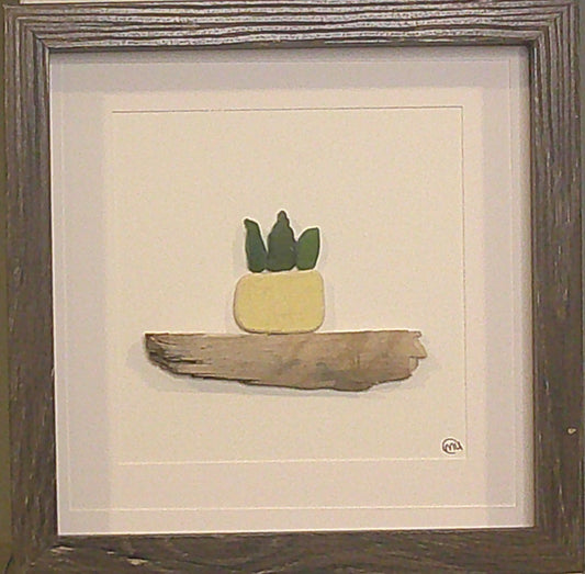 Sea Glass Picture - Succulent - 8x8