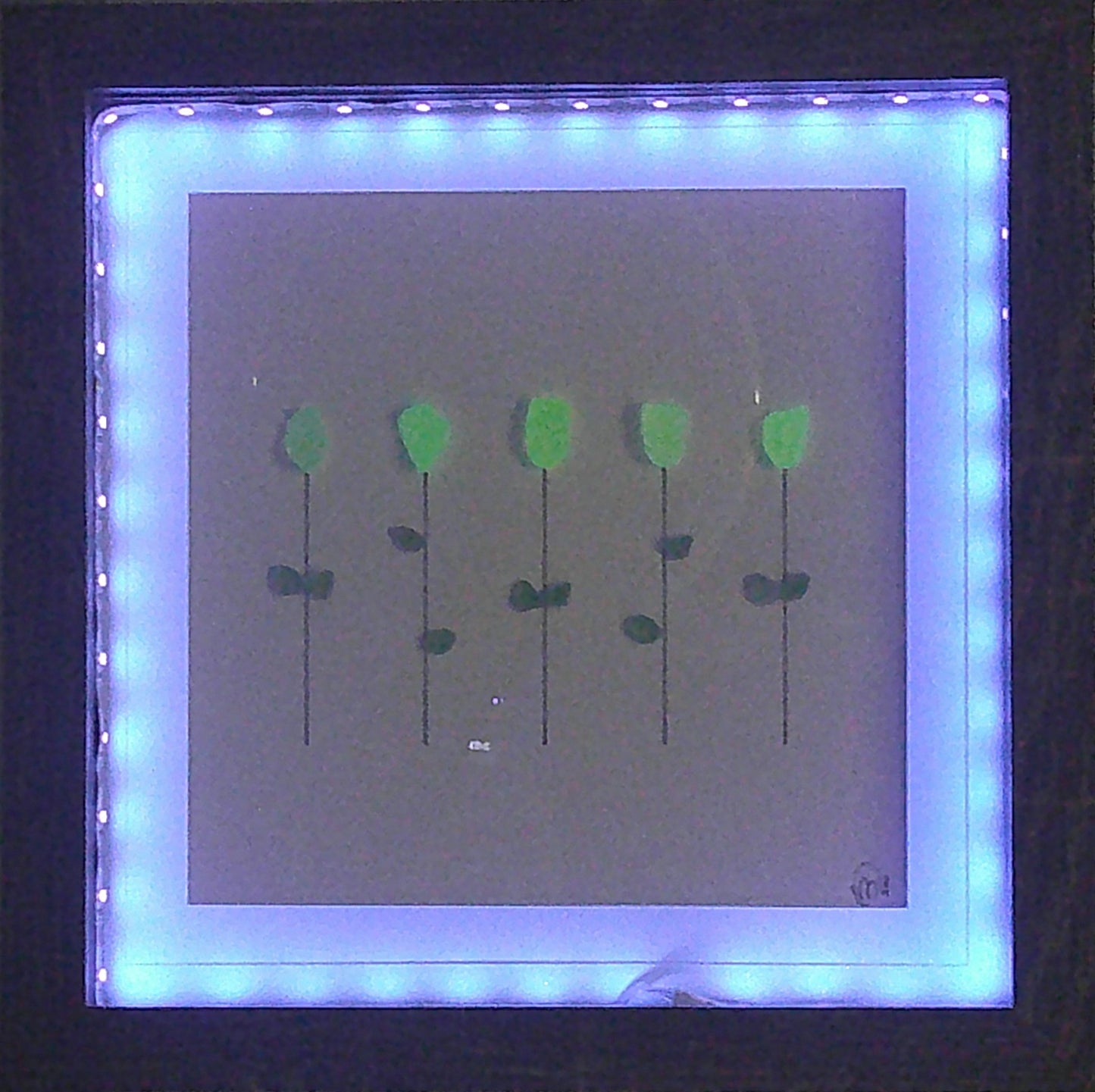 ***Sea Glass Picture - URANIUM Sea glass Flowers with black light frame - 8x8